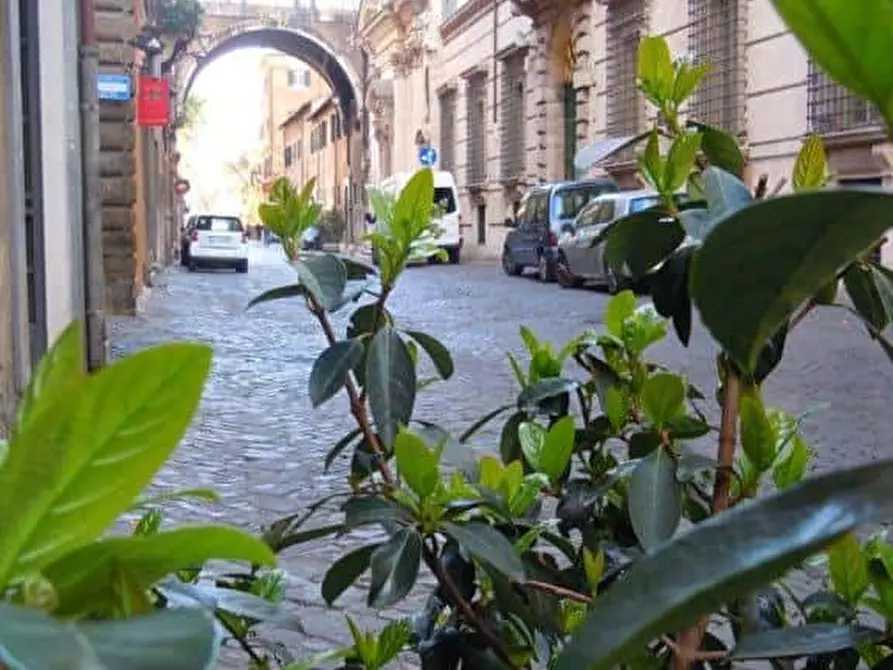 Immagine 11 di Appartamento in affitto  in Via Giulia173 a Roma