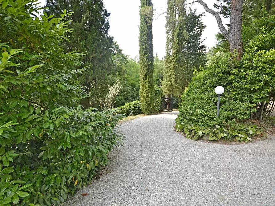 Immagine 22 di Appartamento in affitto  in 50050 Castagno Val d'Elsa, Metropolitan City of Florence, Italy a Capraia E Limite