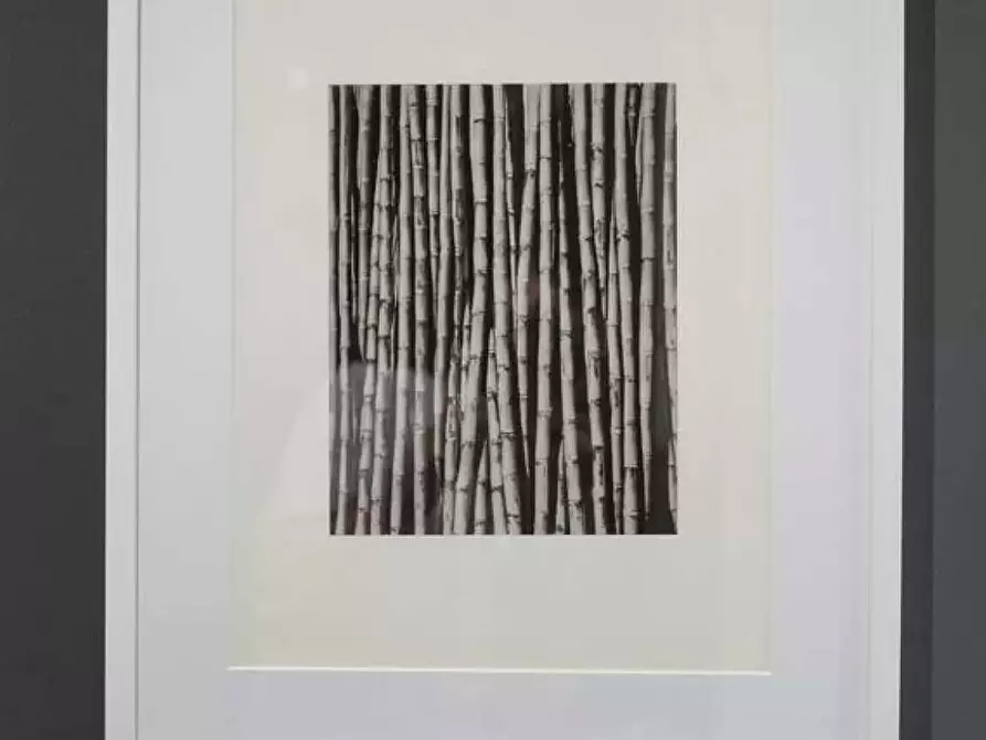 Immagine 34 di Appartamento in affitto  in Via San Marco a Milano