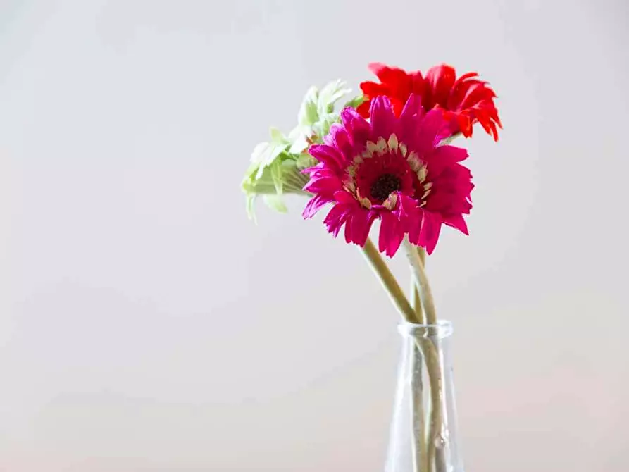 Immagine 12 di Camera in affitto  in Viale Coni Zugna27 a Milano