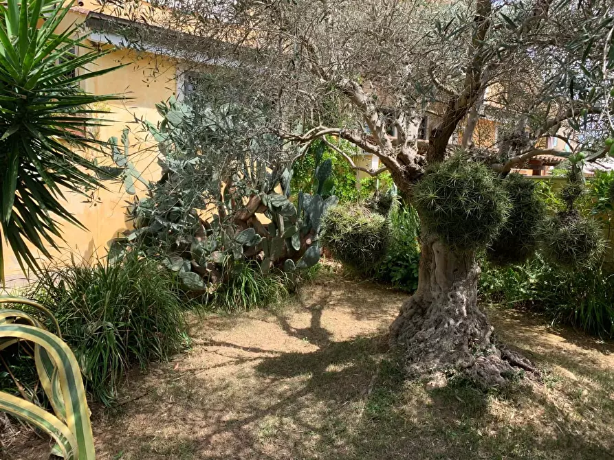 Immagine 27 di Appartamento in affitto  in Via Sisto Scaglia3 a Roma