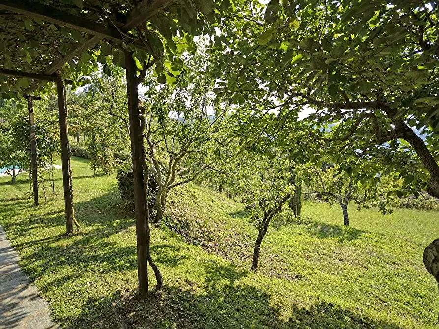 Immagine 24 di Appartamento in affitto  in San Pietro a Dame a Cortona