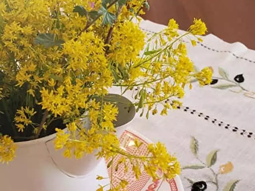 Immagine 12 di Appartamento in affitto  in Via Santa Chiara16 a Monte Sant'angelo