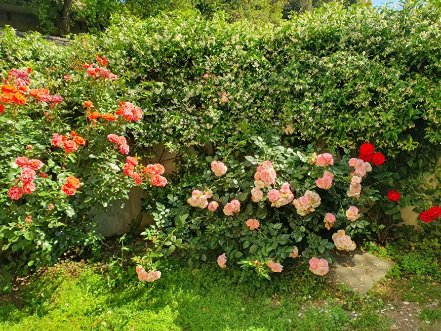 Immagine 5 di Appartamento in affitto  in Via Mario Fulvio Mariani9 a Roma