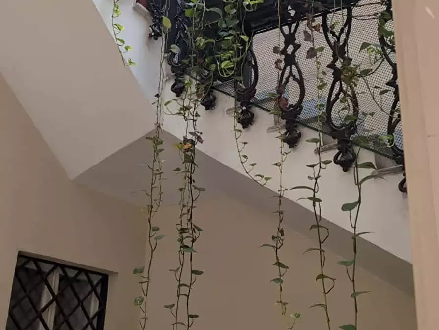 Immagine 19 di Appartamento in affitto  in Via Volturno40 a Roma