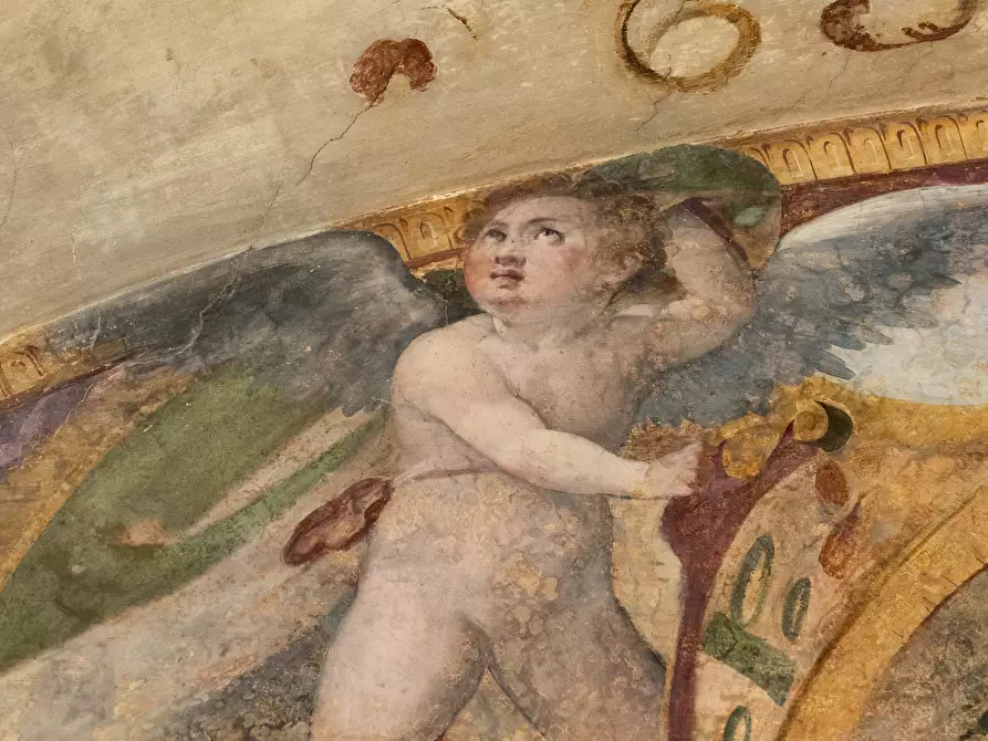 Immagine 40 di Appartamento in affitto  in Via dei Benci a Firenze