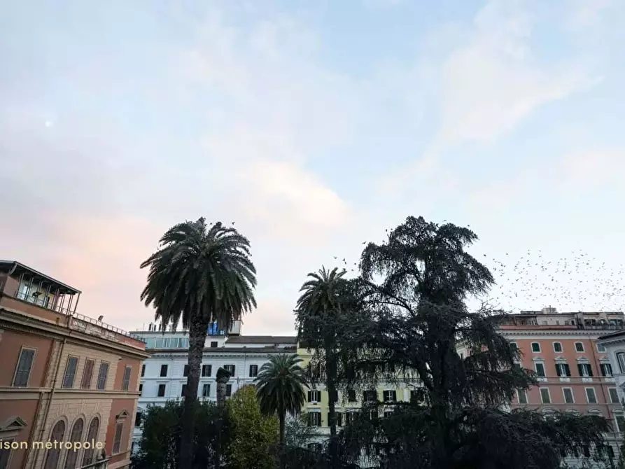 Immagine 26 di Appartamento in affitto  in Via Castelfidardo60 a Roma