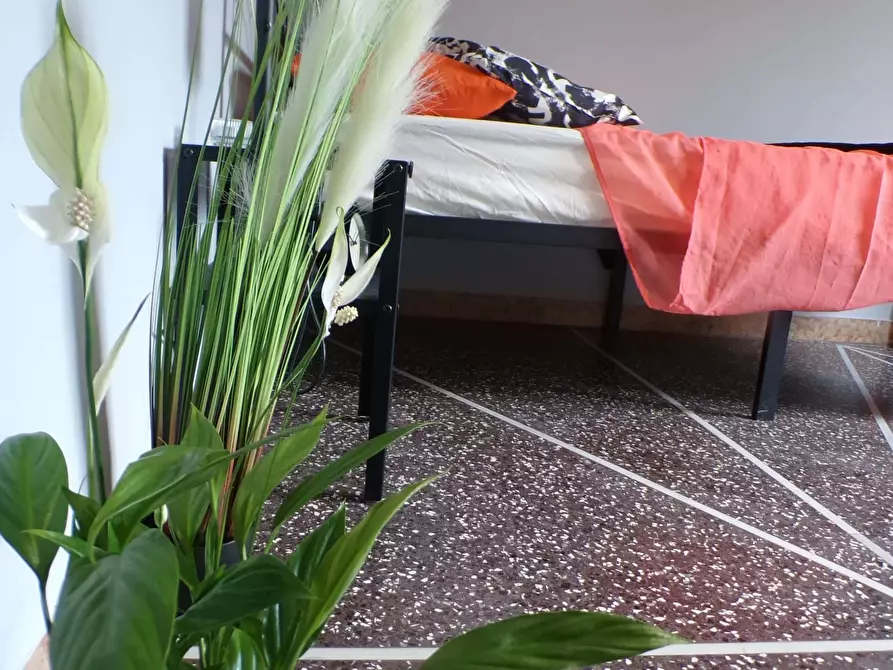 Immagine 1 di Camera in affitto  in Via Filippo Beroaldo1 a Bologna