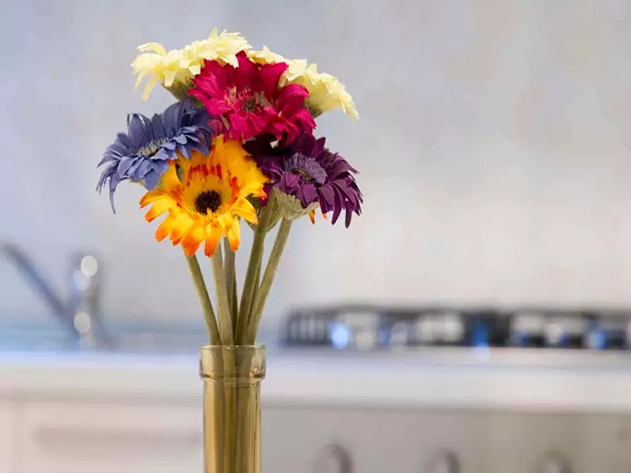 Immagine 33 di Camera in affitto  in Via Bartolomeo D'Alviano21 a Milano