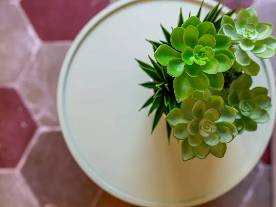 Immagine 25 di Appartamento in affitto  in Via Aldo Manuzio95 a Roma