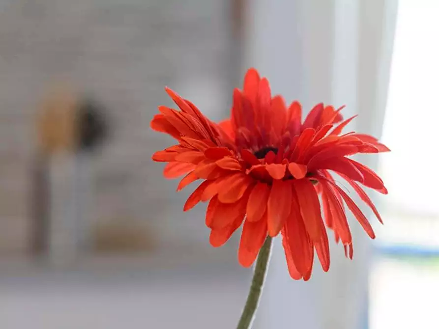 Immagine 25 di Camera in affitto  in Via Sulmona23 a Milano