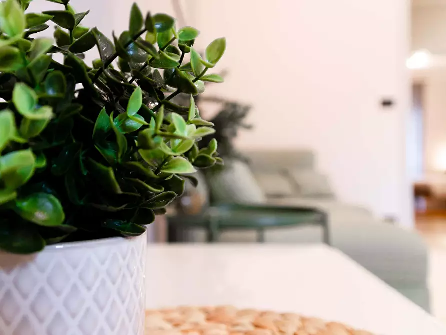 Immagine 19 di Appartamento in affitto  in Via Federico Paolini22 a Torino