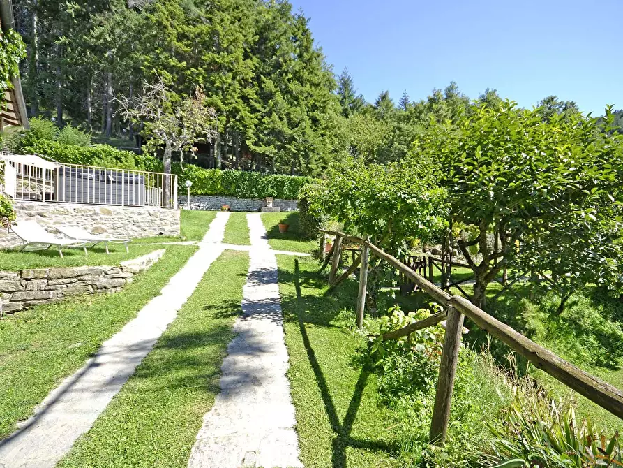 Immagine 22 di Appartamento in affitto  in San Pietro a Dame a Cortona