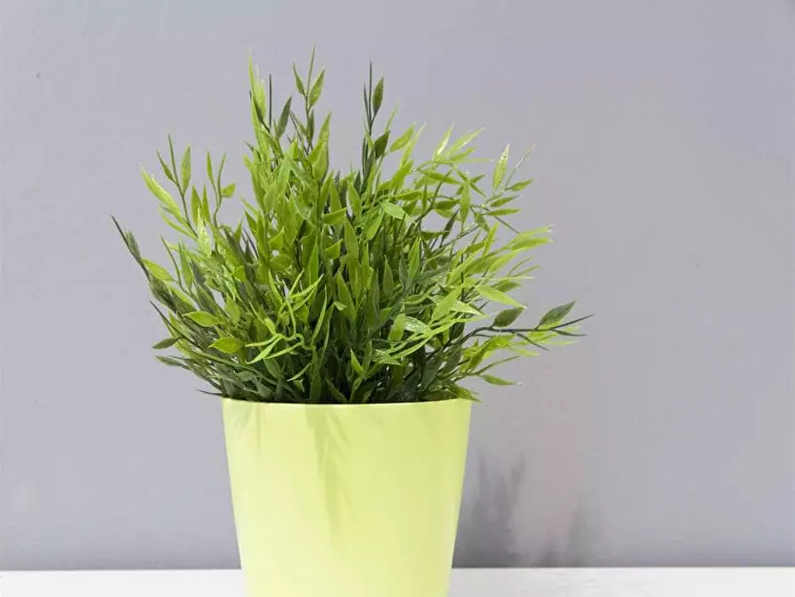 Immagine 7 di Camera in affitto  in Bastioni di Porta Volta13 a Milano