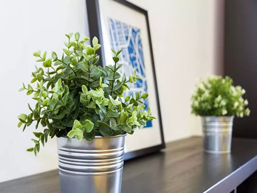 Immagine 7 di Camera in affitto  in Corso di Porta Romana132 a Milano