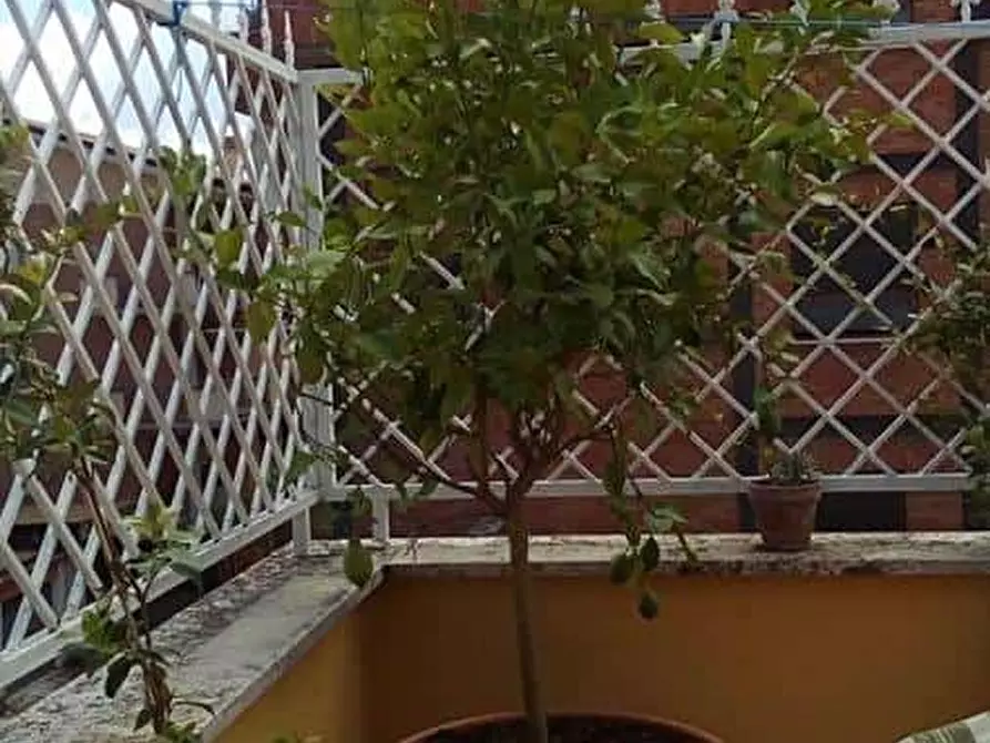 Immagine 19 di Appartamento in affitto  in Via Acquaroni103 a Roma