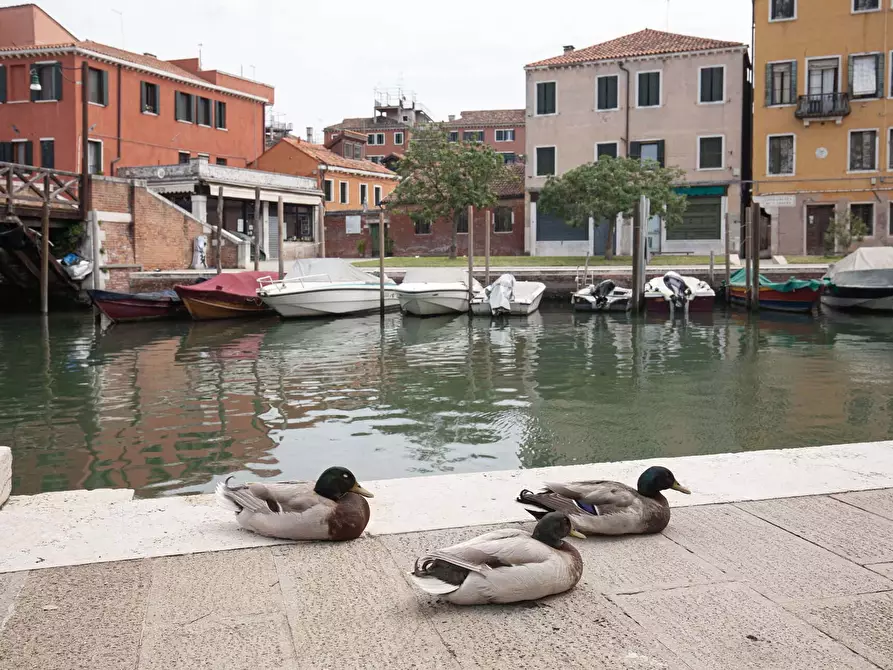 Immagine 17 di Appartamento in affitto  in Calle Larga Santa Marta2155 a Venezia