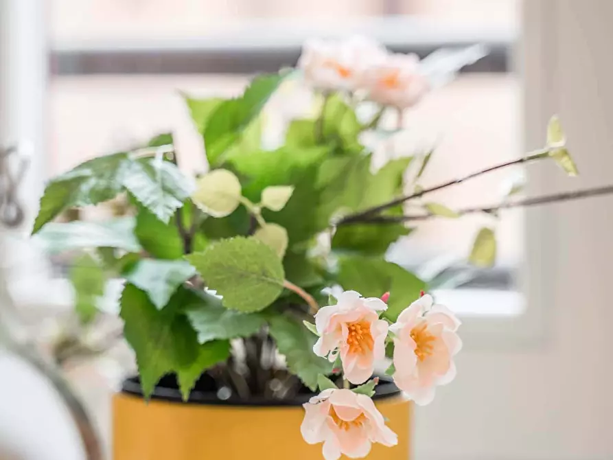 Immagine 34 di Appartamento in affitto  in Viale C. Sigonio76 a Modena