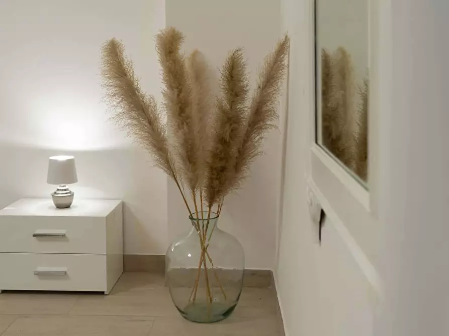 Immagine 26 di Appartamento in affitto  in Via Opacchiasella14 a Manfredonia