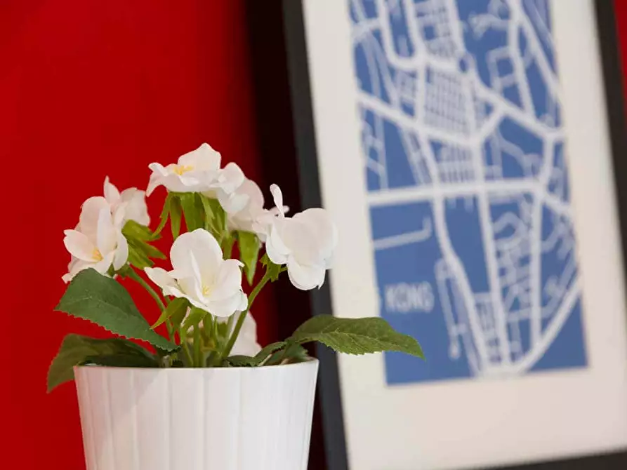 Immagine 10 di Camera in affitto  in Via Gustavo Modena30 a Milano