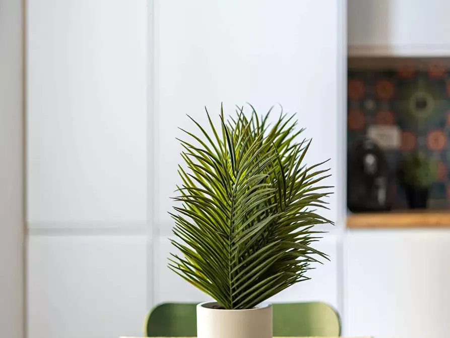 Immagine 16 di Appartamento in affitto  in Via del Pratello64 a Bologna