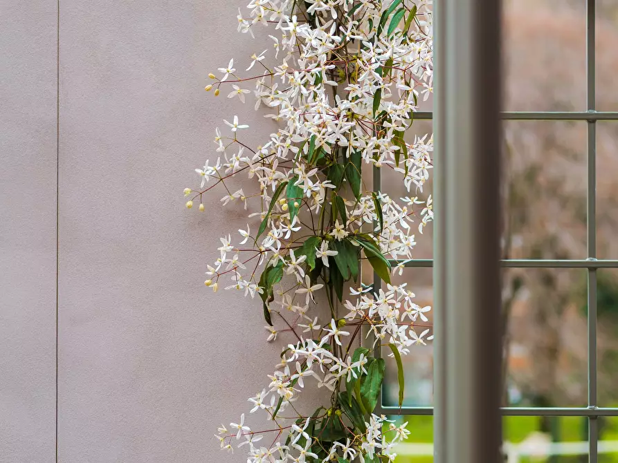 Immagine 25 di Appartamento in affitto  in Via Bonaventura Zumbini a Milano