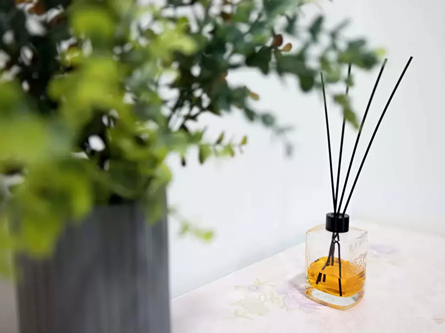 Immagine 21 di Appartamento in affitto  in Viale dei Pini19 a Riccione