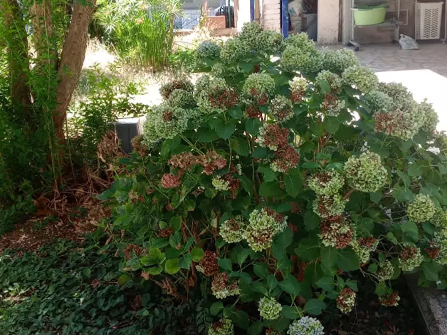 Immagine 8 di Camera in affitto  in Via Ernesto Ovidi20 a Roma