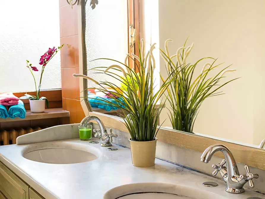 Immagine 11 di Camera in affitto  in Via Giovanni Argentero a Torino