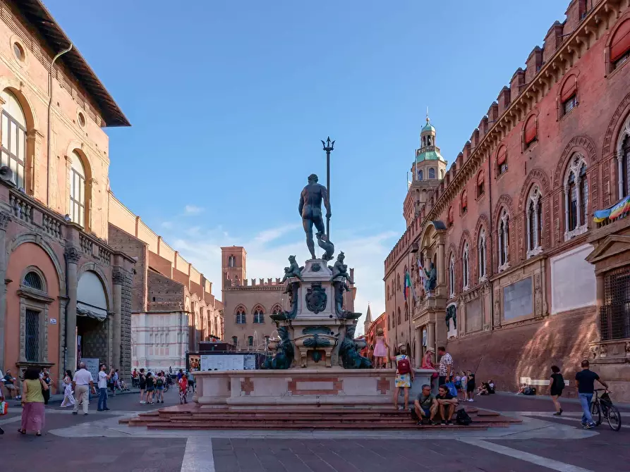 Immagine 35 di Appartamento in affitto  in Via Mirasole10 a Bologna
