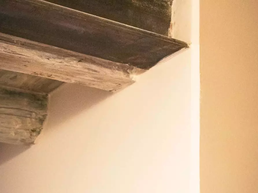 Immagine 26 di Appartamento in affitto  in Via Il Prato9 a Firenze