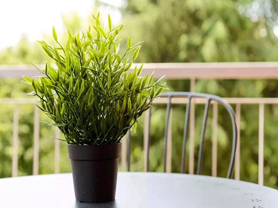 Immagine 3 di Camera in affitto  in Via delle Ande8 a Milano