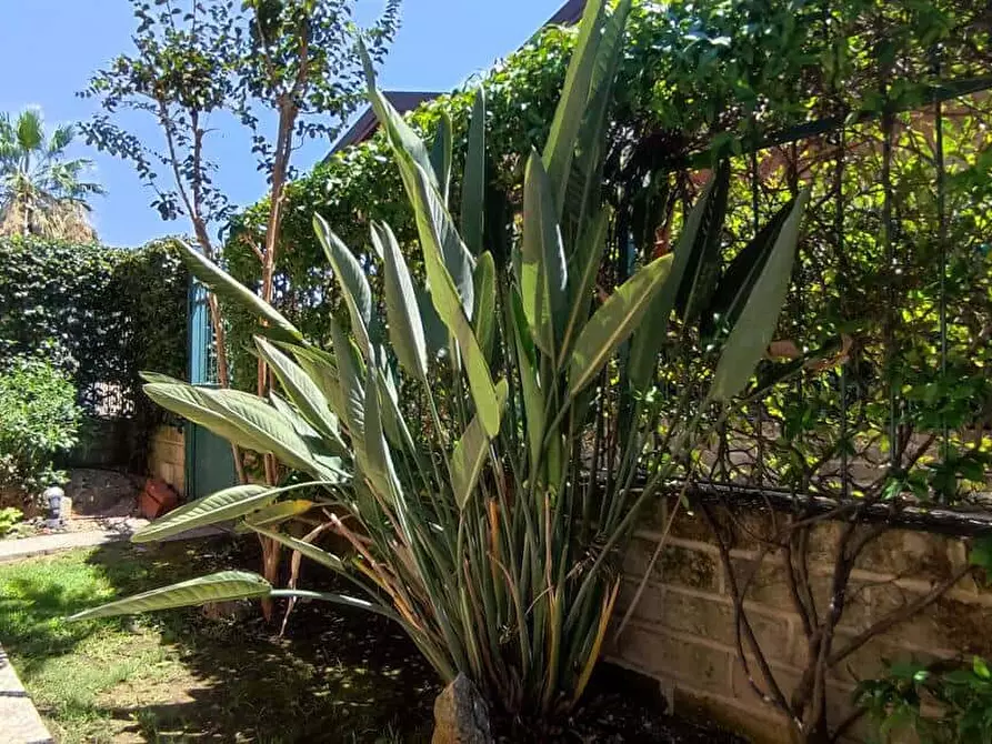 Immagine 48 di Appartamento in affitto  in Via Felice Caronni52 a Roma