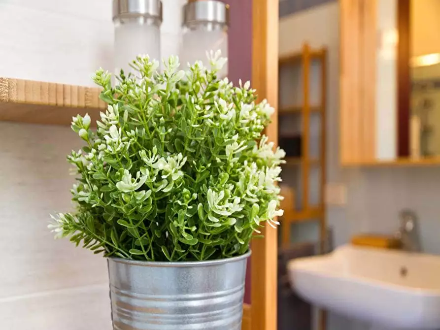 Immagine 11 di Camera in affitto  in Via Larga26 a Milano