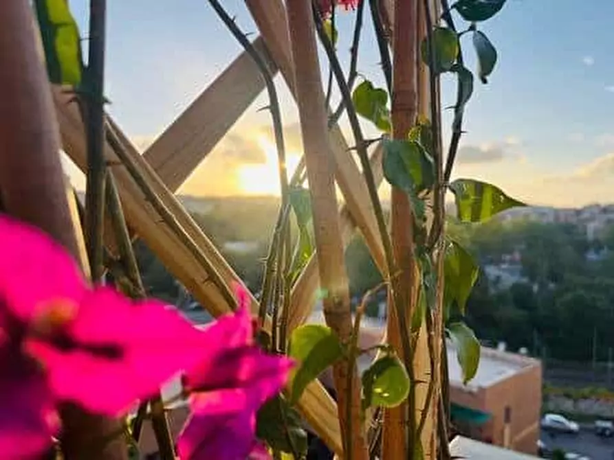 Immagine 22 di Appartamento in affitto  in Via Giuseppe Ravizza42 a Roma