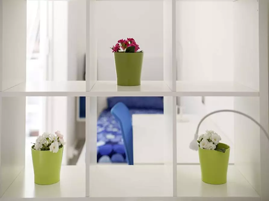 Immagine 1 di Camera in affitto  in Via Giovanni Amendola13 a Bologna