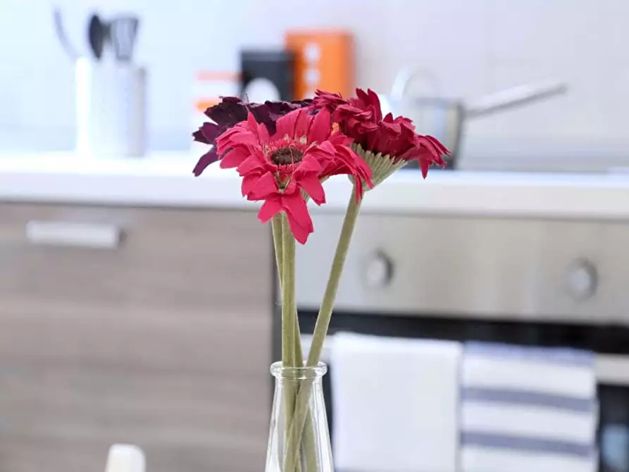 Immagine 23 di Camera in affitto  in Via Salvatore Barzilai15 a Milano