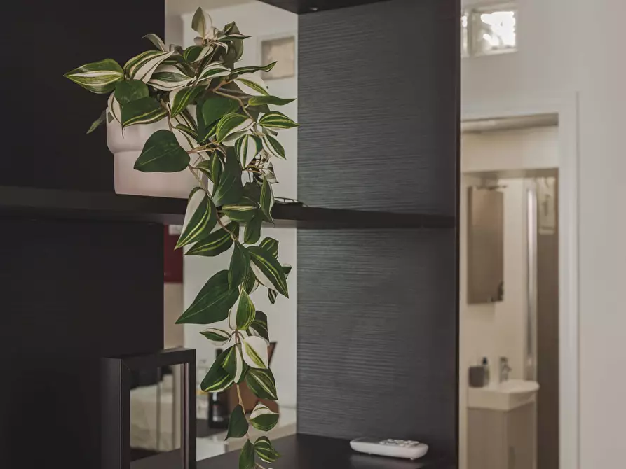 Immagine 11 di Appartamento in affitto  in Via Mazzini53 a Trieste