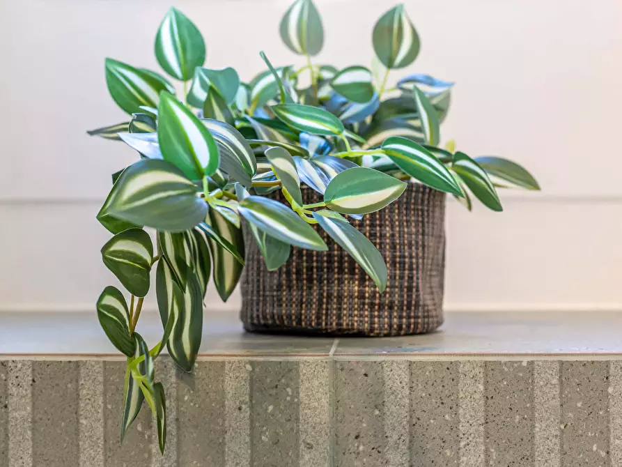 Immagine 26 di Appartamento in affitto  in Via Aldo Manuzio95 a Roma