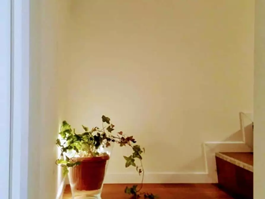 Immagine 11 di Camera in affitto  in Alzaia Naviglio Pavese114 a Milano