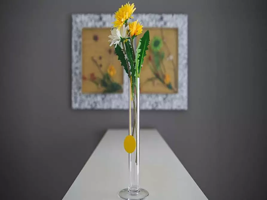 Immagine 8 di Camera in affitto  in Via Paolo Bassi25 a Milano