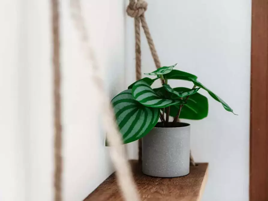 Immagine 8 di Appartamento in affitto  in Piazza Roma29 a Como