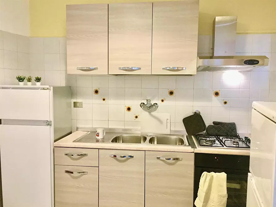 Immagine 11 di Camera in affitto  in Via del Ponte Rosso13 a Firenze