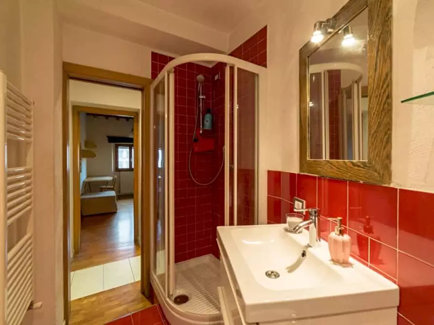 Immagine 13 di Camera in affitto  in Via del Ponte alle Mosse1 a Firenze