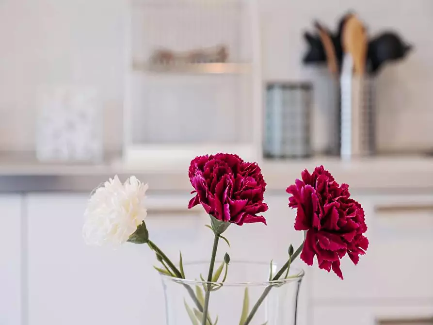 Immagine 37 di Camera in affitto  in Via delle Belle Arti21 a Bologna