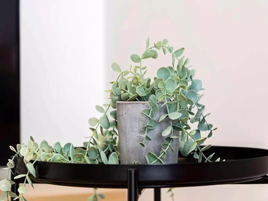 Immagine 15 di Camera in affitto  in Via Gardone5 a Milano