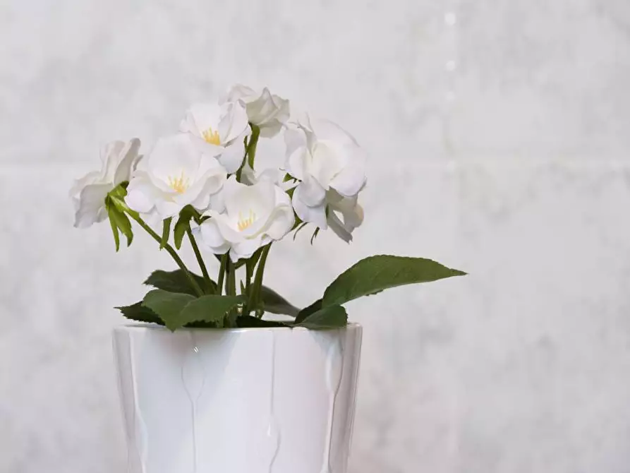 Immagine 14 di Camera in affitto  in Via Giuseppe Bruschetti11 a Milano