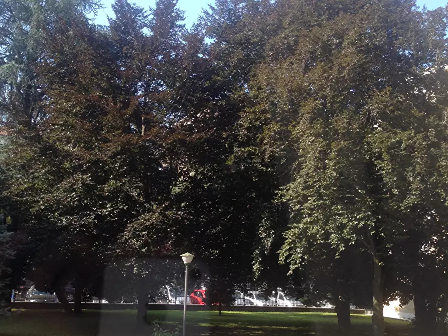 Immagine 12 di Camera in affitto  in Via Guglielmo Röntgen19 a Milano