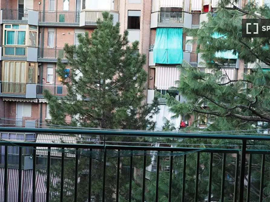 Immagine 14 di Camera condivisa in affitto  in Via Amedeo Ugolini a Torino