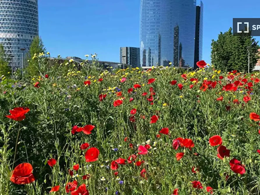Immagine 9 di Appartamento in affitto  in Via Federico Confalonieri a Milano